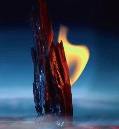 Dior Sauvage 100 Ml - Parfum - Herenparfum -Cosmeticawinkel 1110x1200 10