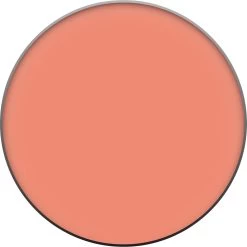L’Oréal Paris True Match - 160 Pêche - Blush 37 L’Oréal Paris True Match - 160 Pêche - Blush -Cosmeticawinkel 1199x1200 16
