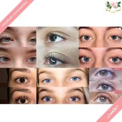 Iconsign® Wimperlifting Set / Lash Lift Kit - 25-Delige - Setje LashGo® Nep Wimpers Inbegrepen - Natuurlijk Wimper Krullen - Wimperliftingset 8 Iconsign® Wimperlifting Set / Lash Lift Kit - 25-Delige - Setje LashGo® Nep Wimpers Inbegrepen - Natuurlijk Wimper Krullen - Wimperliftingset -Cosmeticawinkel 1200x1200 1379