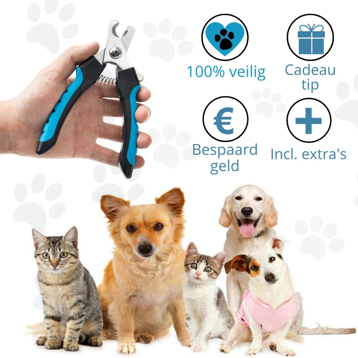 Merkloos Nagelknippper Hond Nagelknipper Kat + E-BOOK - Nagelschaar Hond - Nagelschaar Kat - Honden Nagelknipper - Nagelvijl Hond - Nageltang Hond - Nagelknipper Hond Veiligheidsstop - Nagel Hond - Bwa Commerce 4 Merkloos Nagelknippper Hond Nagelknipper Kat + E-BOOK - Nagelschaar Hond - Nagelschaar Kat - Honden Nagelknipper - Nagelvijl Hond - Nageltang Hond - Nagelknipper Hond Veiligheidsstop - Nagel Hond - Bwa Commerce - Afbeelding 2