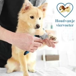 Merkloos Nagelknippper Hond Nagelknipper Kat + E-BOOK - Nagelschaar Hond - Nagelschaar Kat - Honden Nagelknipper - Nagelvijl Hond - Nageltang Hond - Nagelknipper Hond Veiligheidsstop - Nagel Hond - Bwa Commerce 9 Merkloos Nagelknippper Hond Nagelknipper Kat + E-BOOK - Nagelschaar Hond - Nagelschaar Kat - Honden Nagelknipper - Nagelvijl Hond - Nageltang Hond - Nagelknipper Hond Veiligheidsstop - Nagel Hond - Bwa Commerce -Cosmeticawinkel 1200x1200 638