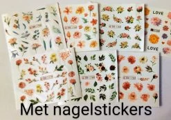 Braembles® -Gellak - Set - Glamour + -Gratis -Nagelstickers- + -Nagelvijl- 6-delige - Gel Nagellak - Gellak Starterspakket - Pink Gellac - Gellac - Nagels - 8ML - UV-LEDlamp - Kerstcadeau - Kerst - -Cosmeticawinkel 1200x846