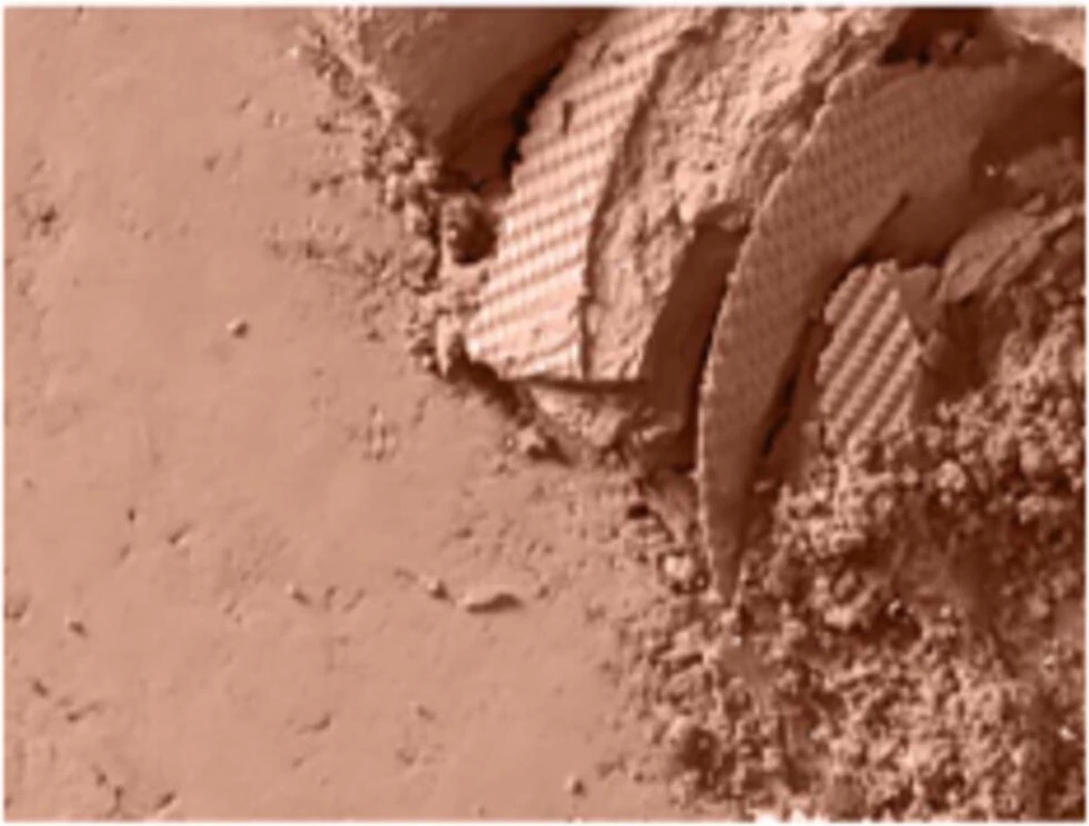 Mac Powder Blush 6 Mac Powder Blush - Afbeelding 4