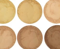 PAVÈZ Mineral Foundation & Concealer | Elite Range | Sunny -Cosmeticawinkel 1200x977 4