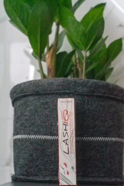 Wimperserum 5ml - Lash Lift - Eyelash - Wimperlifting - LashIQ- Wimper Serum- Wimperserum Groei -Cosmeticawinkel 799x1200 5